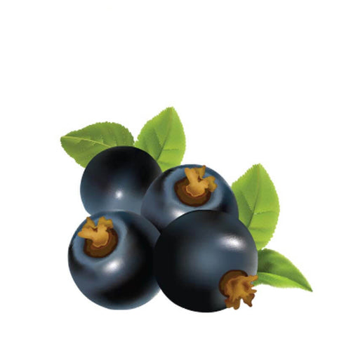 Inawera Blackcurrant Aroma – 1 liter