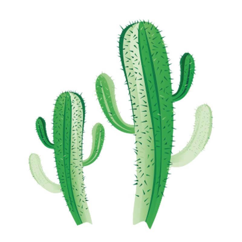 Inawera Cactus – 10ml