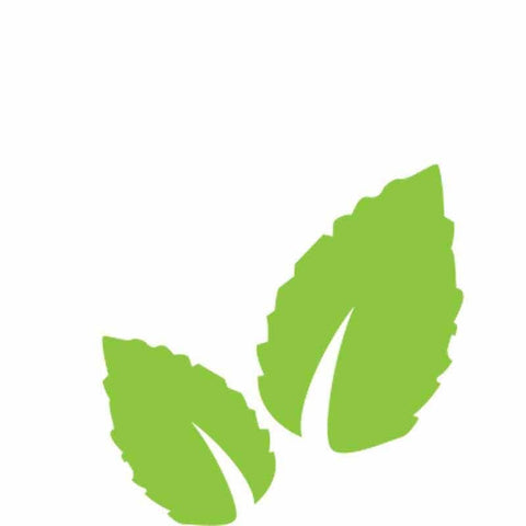 Inawera Mint Flavor – 100ml